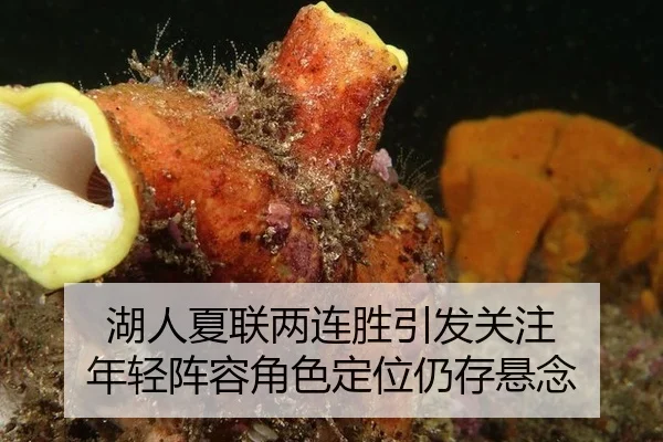 hu-ren-xia-lian-liang-lian-sheng-yin-fa-guan-zhu-nian-qing-zhen-rong-jue-se-ding-wei-reng-cun-xuan-nian-2-755.jpg